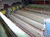  GOWIN-CARD (Tuftco) Coating Line, 1988 year consisting of: